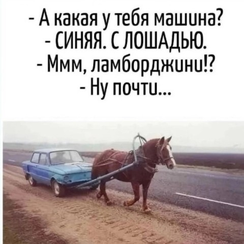 memy_2025sp в LOOKY. . 