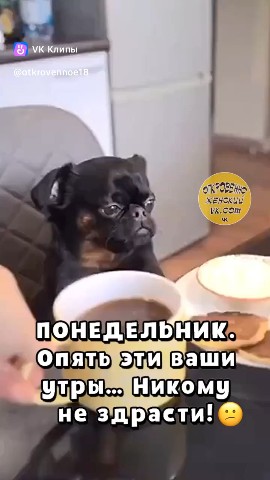 kaleriia4412 в LOOKY. . 