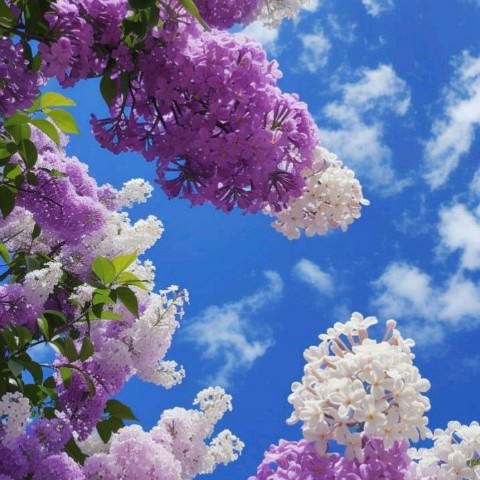Tatiana18 в LOOKY. . 
