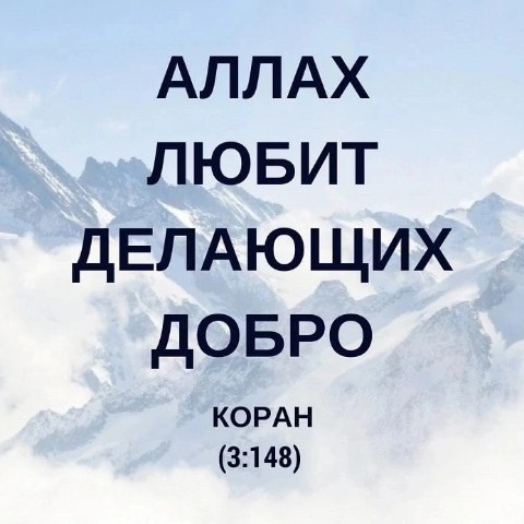 salavatatangulov в LOOKY. . 