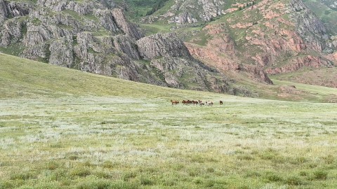 redcheeseline в LOOKY. . 