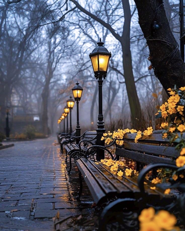 armine_oveyan в LOOKY — фото 1