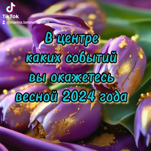 Looky_1673780729228 в LOOKY. . 