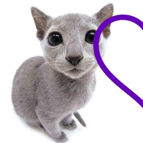 Looky_178206864971347 в LOOKY. . 