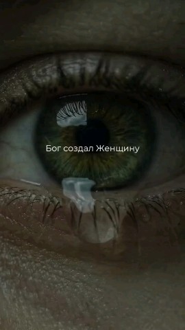 ВОЛК СЕРЫЙ в LOOKY — публикация