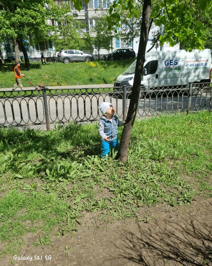 Прогулка 
👨‍👩‍👧‍👦 #семьялюбимая #семьяглавноевжизни #семьяэтоглавное #toptags #сестра #брат #семьяэтосвятое #семьяпревышевсего #семьяэтокруто #инстатаг #семьярядом #мама #семьяэтосчастье #семьялюбовь #семьяэтовсе #инстаграманет #папа #семьясамоеглавноевжизни #семьямоя #семьявсборе #семьяглавное #семьянапервомместе #семьясамоеглавное #семьясамоедорогое #семьявместе #семья #семьямоевсе #мои #семьяэтосила [#сын](сын) #сынок #Любимка [#прогулка](прогулка) 