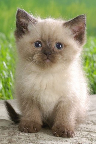 Looky_177012579689622 в LOOKY. . 
