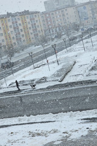 Tanusha.Дитя севера. в LOOKY. #городокНорильск,#погодкаНорильска,#веснасевера,#майскийдень,#мытут. 1 мая!
Хлопья снега,...