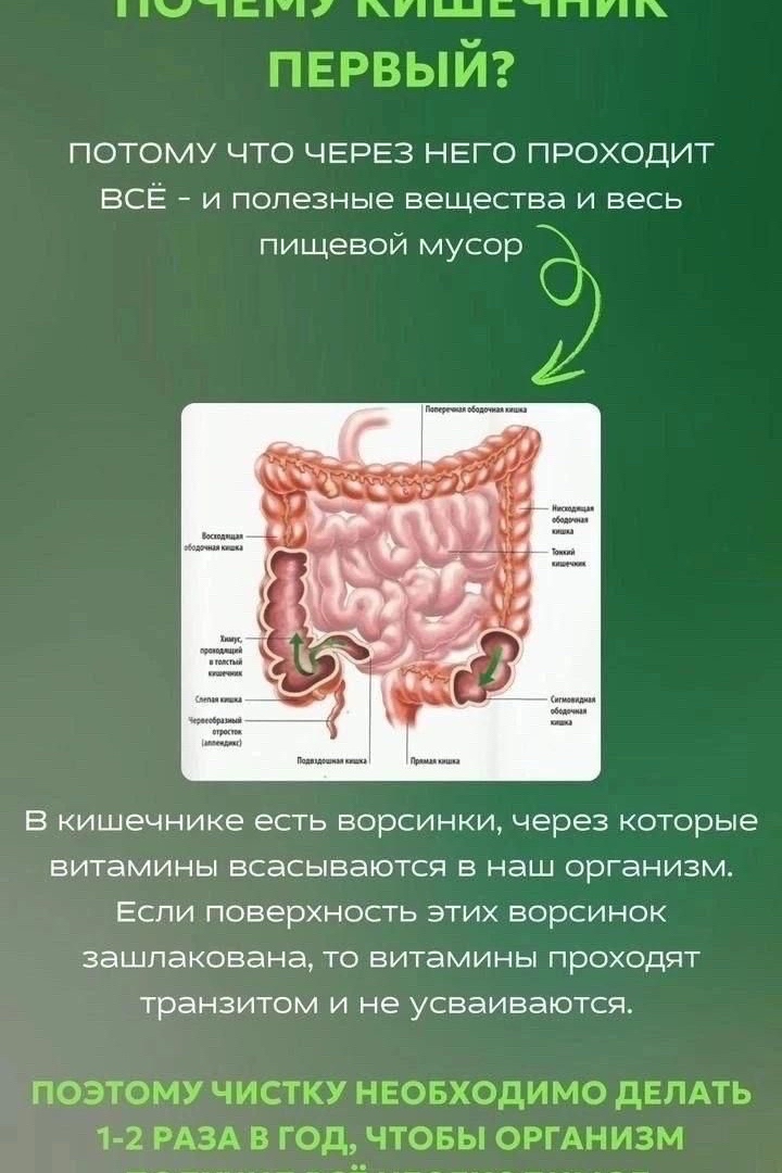 Почему КИШЕЧНИК первый⁉️

⚠️ПОТОМУ, ЧТО ЧЕРЕЗ НЕГО ПРОХОДИТ ВСЕ - и полезные вещества и весь пищевой мусор.

В КИШЕЧНИКЕ ЕСТЬ ВОРСИНКИ, через которые витамины всасываются а наш организм. 

Если поверхность этих ворсинок зашлакована, то витамины  проходят транзитом и не усваиваются. 

Поэтому чистку необходимо делать 1-2 раза в год

Программа действует 
мягко, но эффективно, без стресса для организма, вписываясь в привычный ритм жизни.

#NL