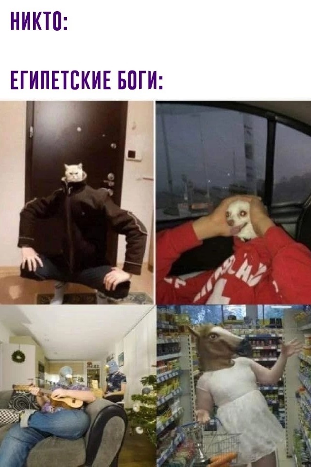 Будни Лоботряса в LOOKY — публикация
