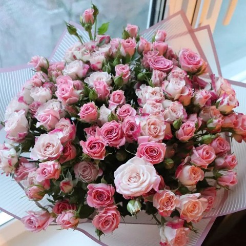 Looky_1683684184212 в LOOKY. #flowerslovers. [#moments](moments) ...