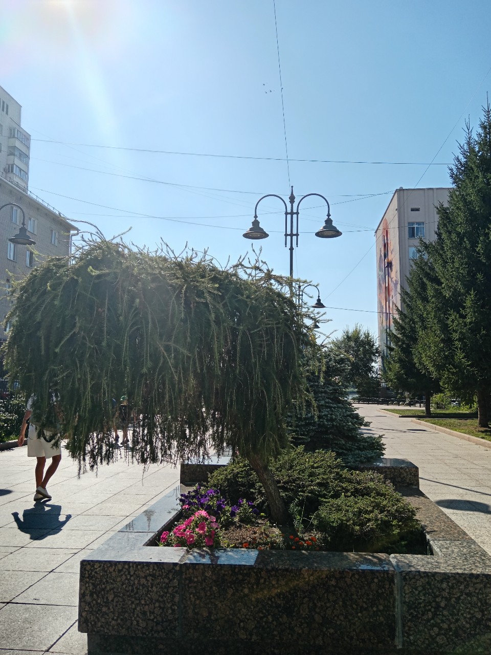 Olika - Дракончик в LOOKY — фото 4