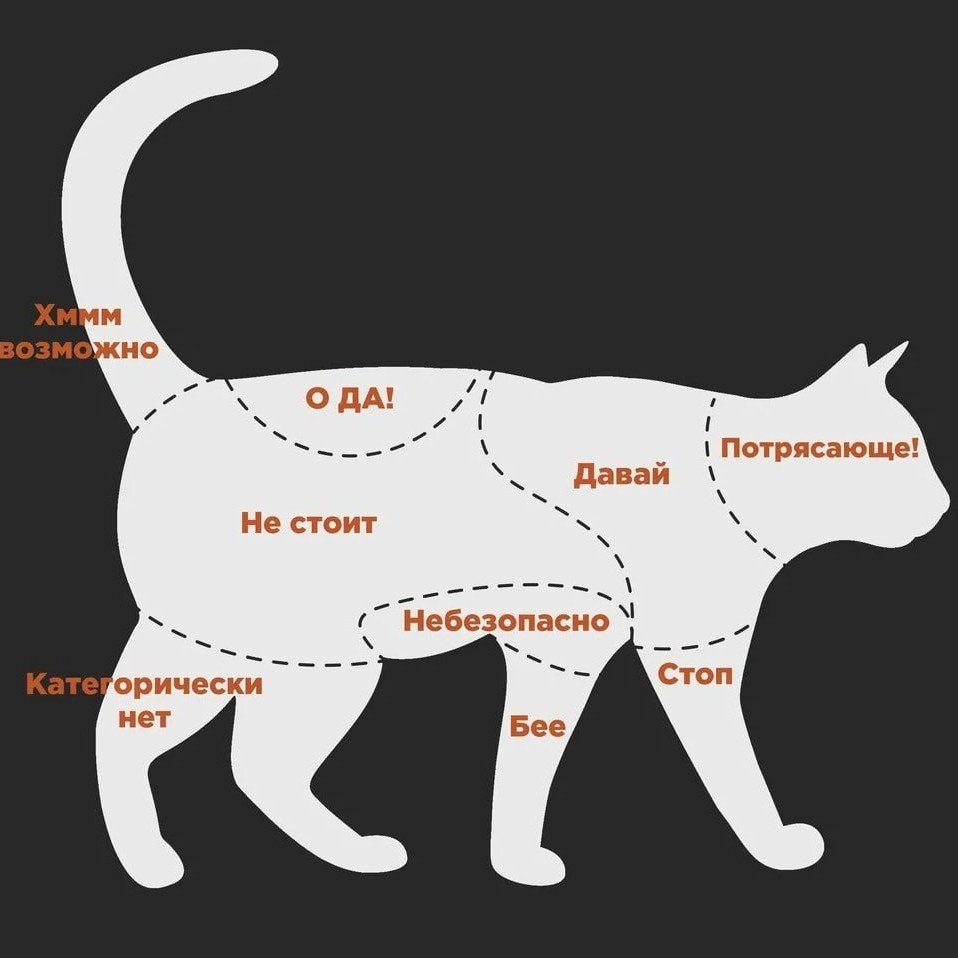 PetsStalkerS in LOOKY. . Карта - путеводитель...