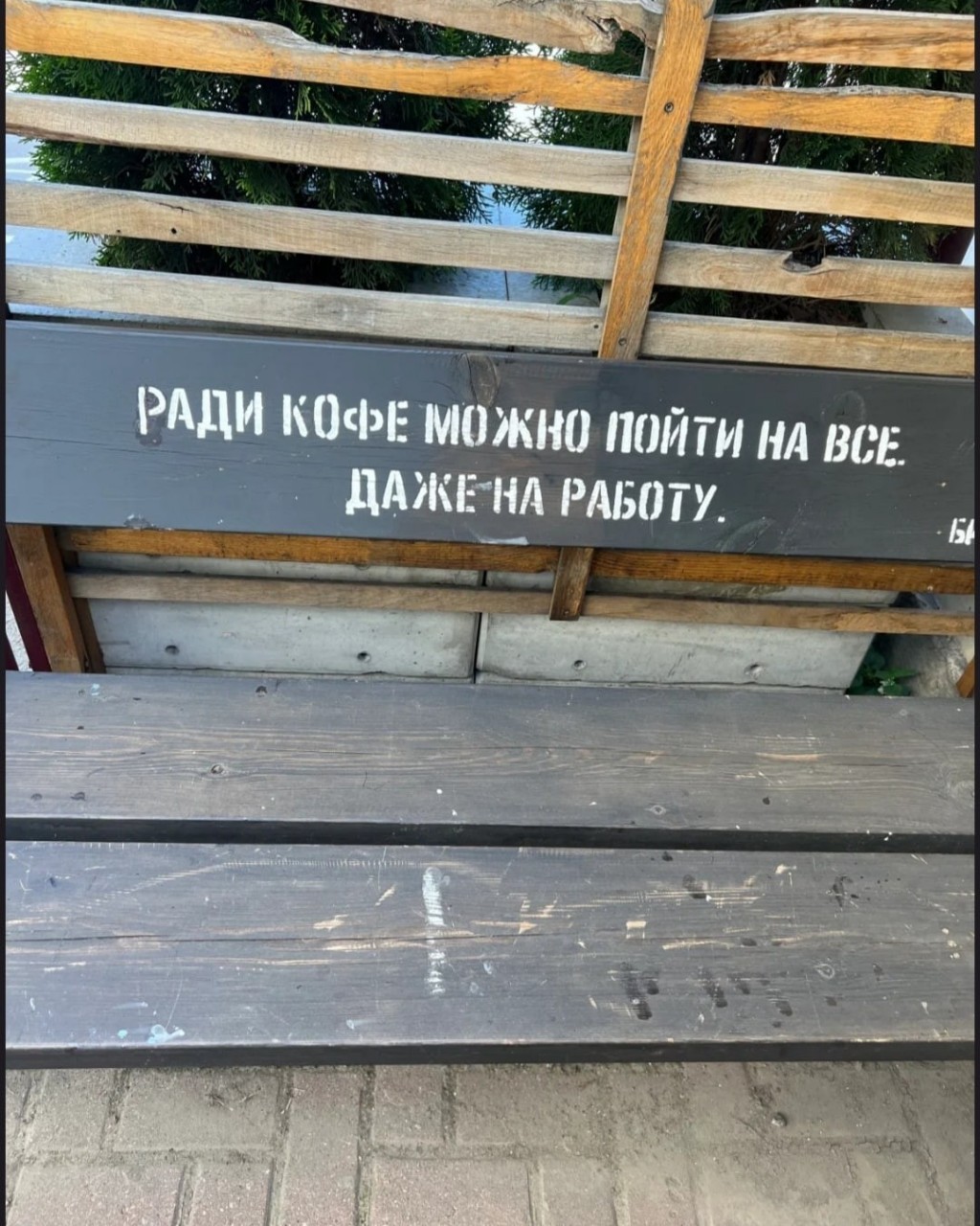 Looky_1680377940891 в LOOKY — публикация