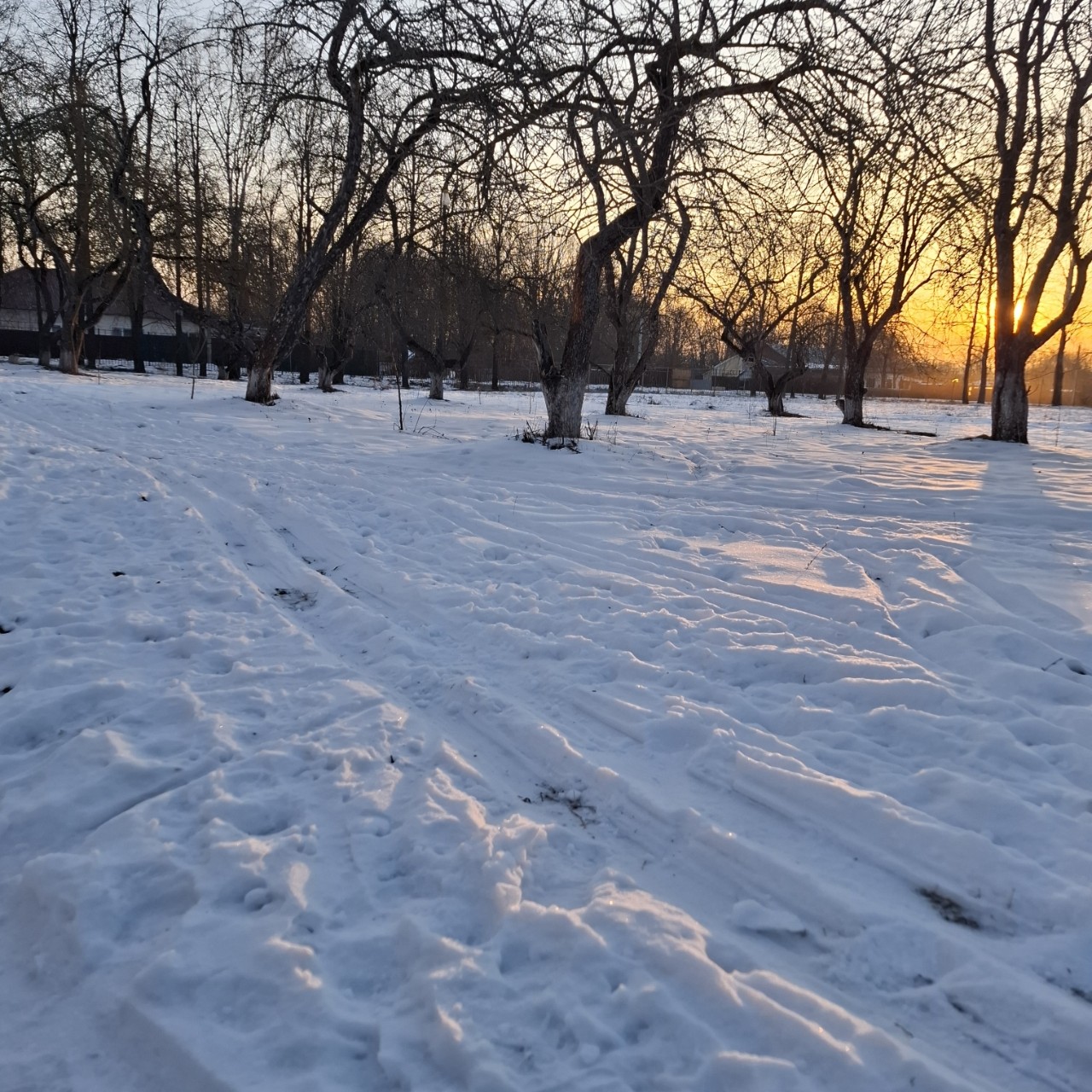 natalyamelk в LOOKY — #Лыжи2025 Вот и закончилась лыжная подготовка