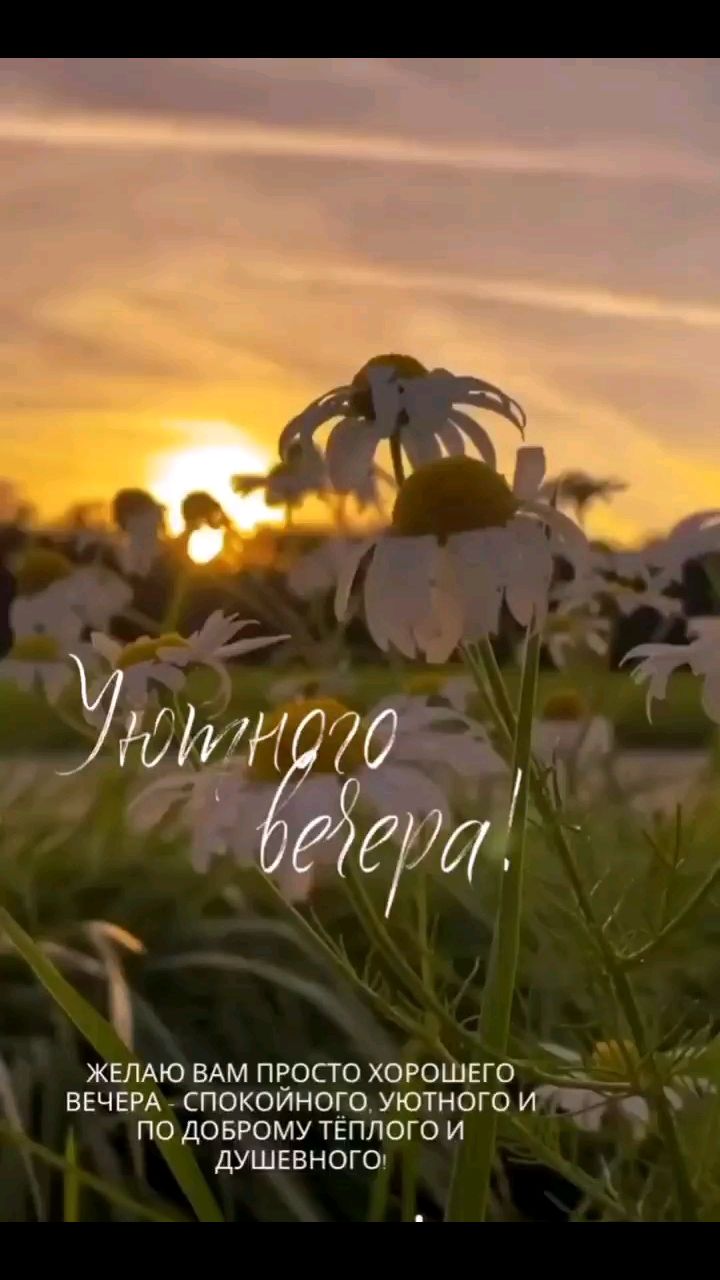 Svet_ya_ в LOOKY — 🌼🌅Сегодня вечером глубокий покой бережно омывает твои мысл