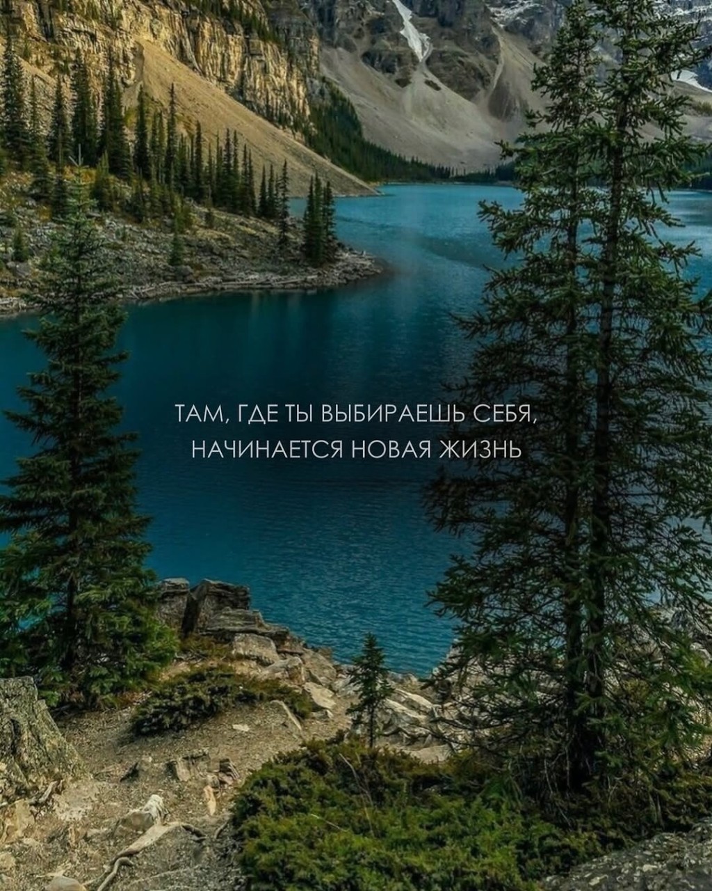 Welfare в LOOKY — публикация