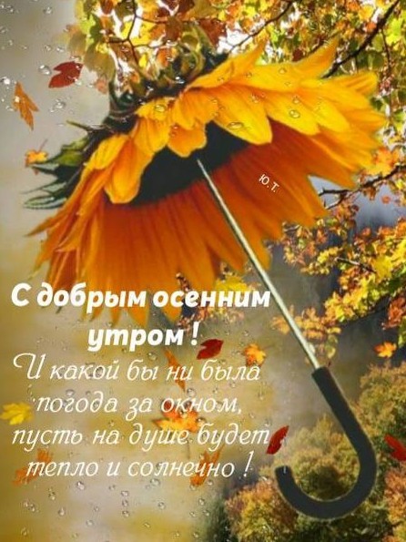 iri7254 в LOOKY — публикация