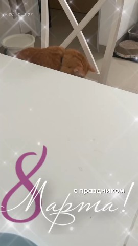 Инна Карпова в LOOKY. #марта. С праздником, милые ...