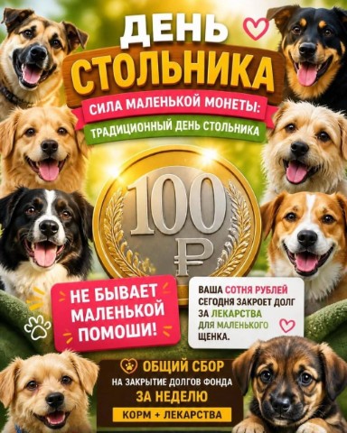 В помощь бездомным животным в LOOKY. #Помощьприютусобак,#Приютусобакнужнапомощь,#Срочнаяпомощьприютусобак,#Финаомощьприютусобак,#Финпомощьприюту,#Помощьприюту,#Кормдлясобак,#Лекарствадлясобак,#Сборнакормдлясобак,#Сборнакорм,#Деньстольника,#Помощьбездомнымсобакам,#Бездомныесобаки,#Бездомныеживотные,#Бездомныесобаки,#Бездомныеживотные,#Собаки. Приюту из 176 собак ...
