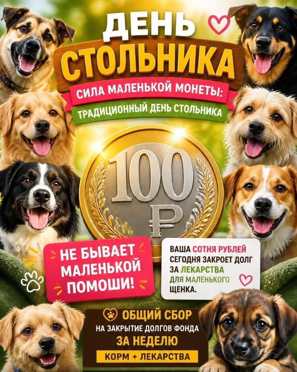 Приюту из 176 собак 
нужна финпомощь на корм, лекарства. 
Репост поста Виктории Сергеевны во "В контакте":
Простите что пропала, 😞я попала в больницу, проблемы с сердем, уж очень часто начала переживать за собачек, 😞долгов много и ничего не получается, перенервничала и была в реанимации, там телефоны запрещены. Выписали. И опять плохие новости. Хвостики голодные,медикаменты купить не могу. Евочка без корма аллергенного, всю покусала себя. Бесконечный панос, нет медикаментов Апоквел 😭всё хуже  и хуже. Скоро нам придëт конец 😞😫
Может у нас появяться ангелы хранители и помогут по 100р и вылезти с долгов. Я очень буду благодарна каждому из Вас. 

❤️🙏🙏🙏🙏🙏🙏🙏
НАШИ РЕКВИЗИТЫ
 💳💳💳💳💳💳💳💳
🐶🦴4279380638627549
(Сбер) (МАРИАННА А)
🐶🍗89966310286
(Озон Банк) (ВИКТОРИЯ А)
💋💋💋💋💋💋💋💋💋💋💋💋

Ссылка на пост Виктории Сергеевны во "В контакте": https://vk.ru/wall811918962_410

#Помощьприютусобак
#Приютусобакнужнапомощь
#Срочнаяпомощьприютусобак
#Финаомощьприютусобак
#Финпомощьприюту
#Помощьприюту
#Кормдлясобак
#Лекарствадлясобак
#Сборнакормдлясобак
#Сборнакорм
#Деньстольника
#Помощьбездомнымсобакам
#Бездомныесобаки
#Бездомныеживотные
#Бездомныесобаки
#Бездомныеживотные
#Собаки