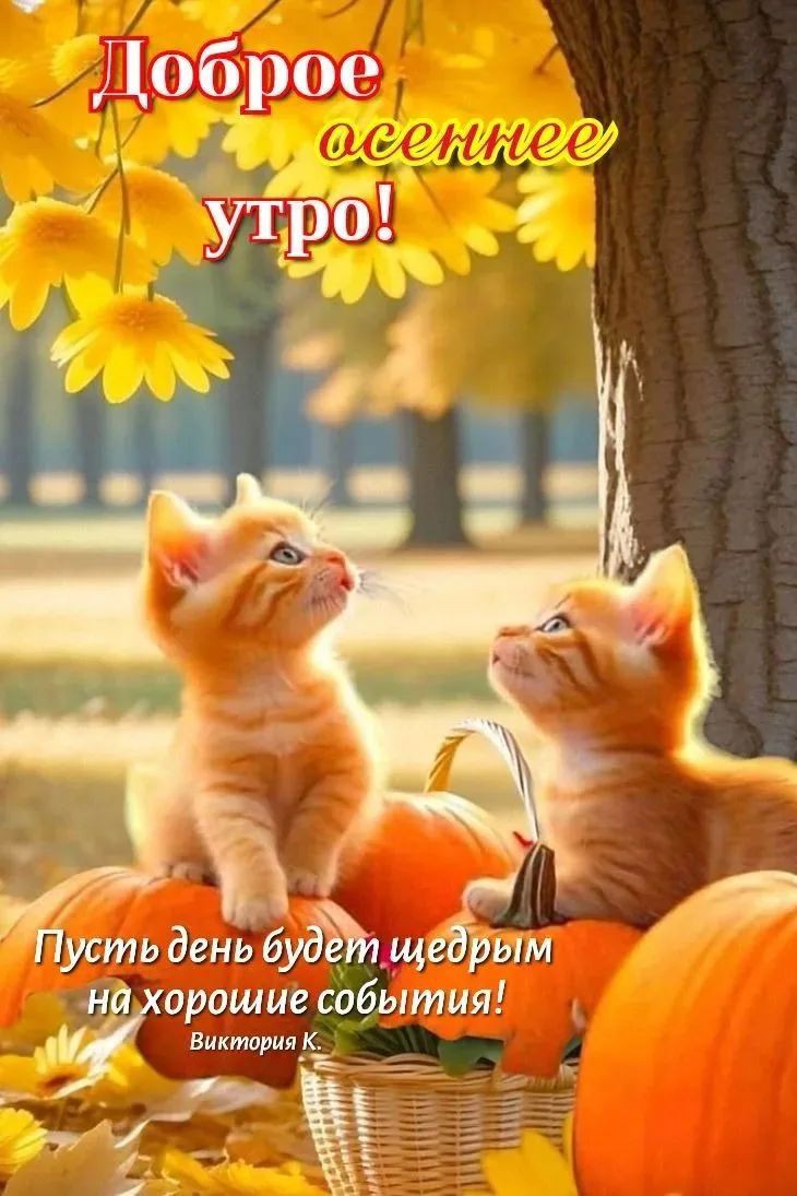 Сириус в LOOKY — публикация