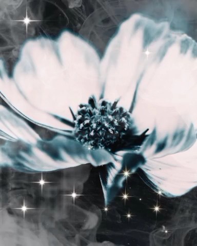 Looky_1678392850929 в LOOKY. . 