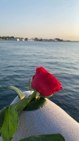 mo_salah3446 в LOOKY. . 