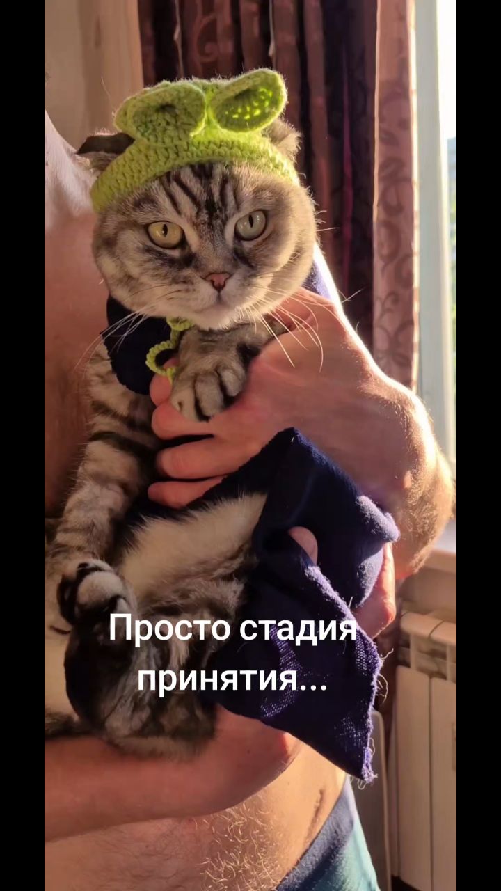 Мышка Муся и Маруся в LOOKY. . 