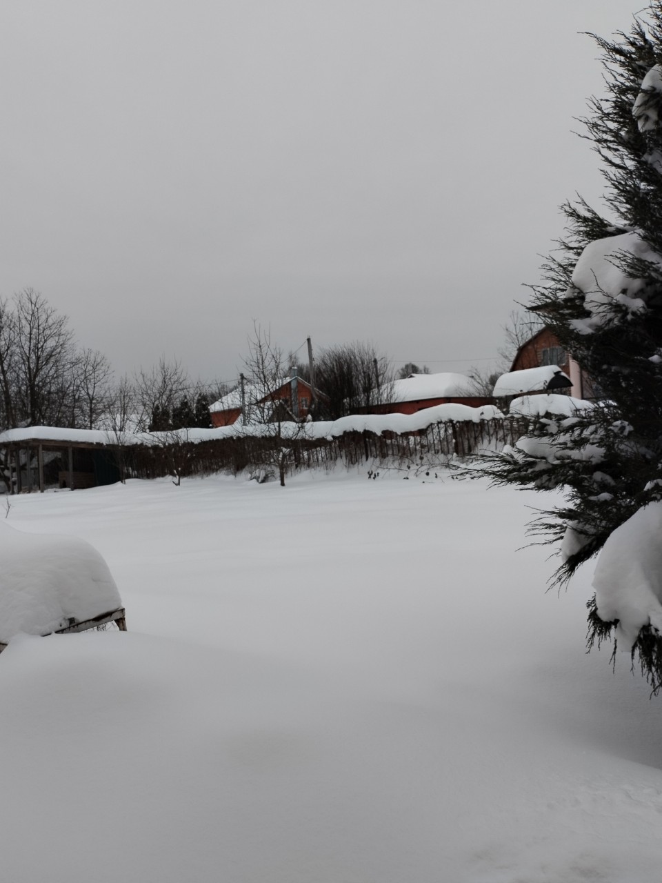 olga.ivanova77 в LOOKY. #январь,#пейзаж_ои. Нас замело)))
Доброе...