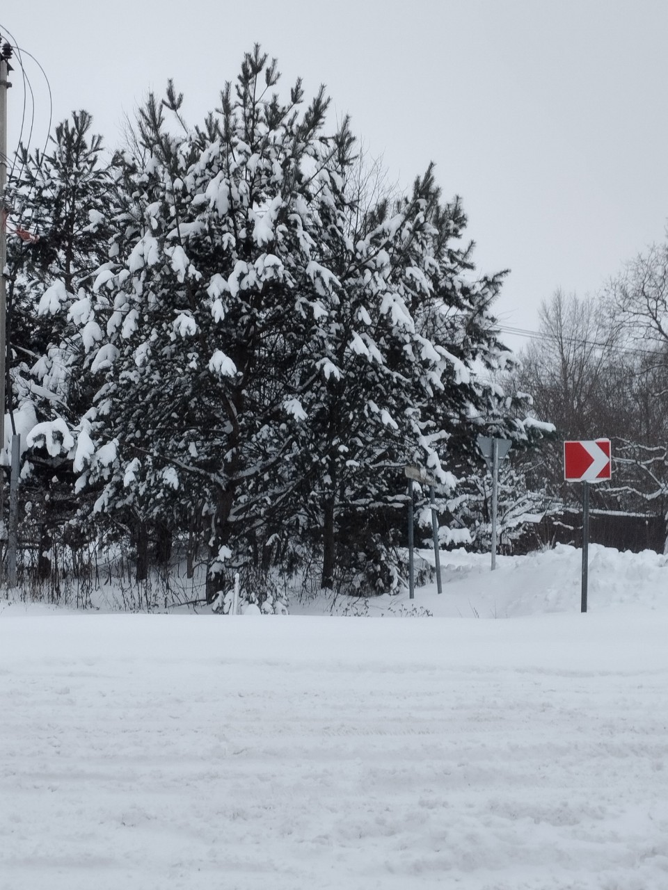 olga.ivanova77 в LOOKY — фото 2