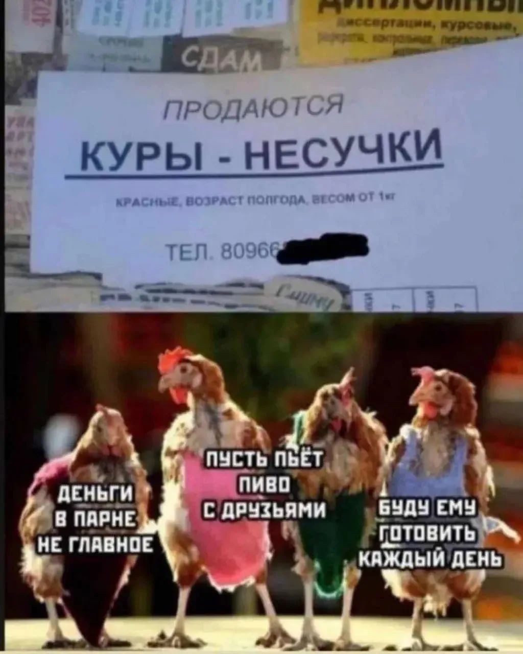 Evgeniy_Smexov в LOOKY — публикация