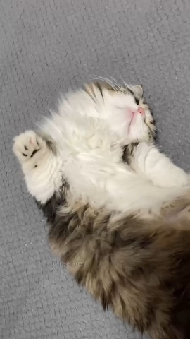 Вячеслав Кузнецов в LOOKY — Ночи 🌙