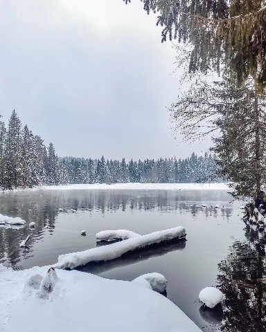 Olga в LOOKY. #теплоеозеро,#зимнийлес,#зимняясказка,#warmlake,#winterforest,#winterfairytale. Теплое озеро вблизи ...