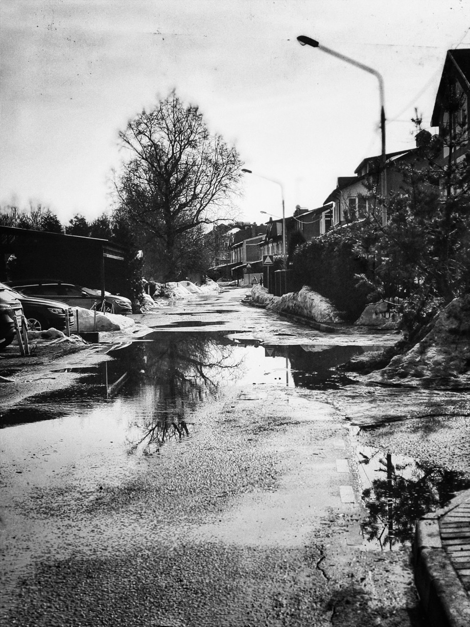 sakura1315 в LOOKY. #природа,#чб,#чбфото,#чернобелоефото,#bnw,#blackandwhite,#nature,#photo,#spring,#march,#looky,#looky_Top,#looky_official. ✨ Понедельник в моно...