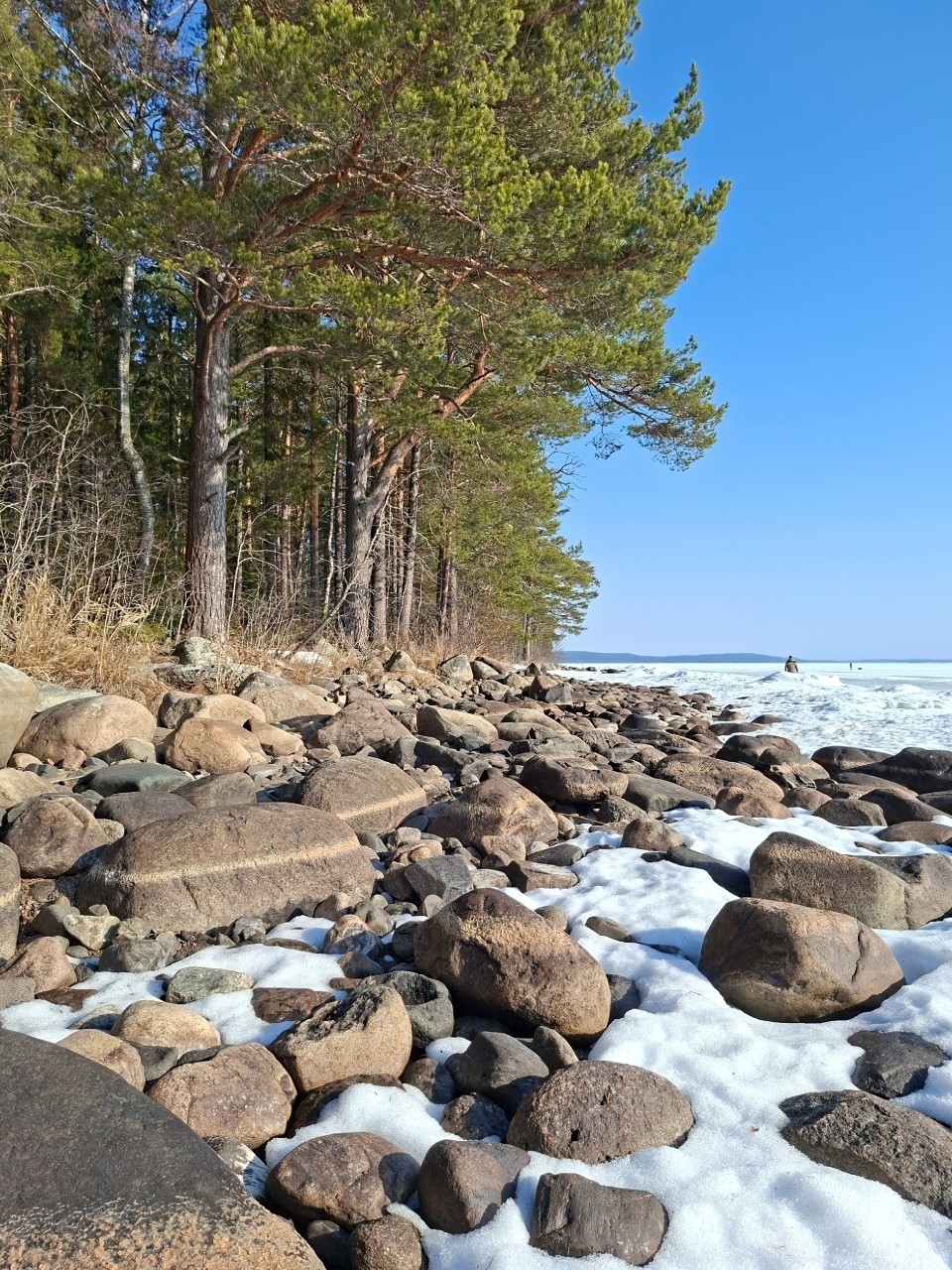 Виктор в LOOKY — фото 1