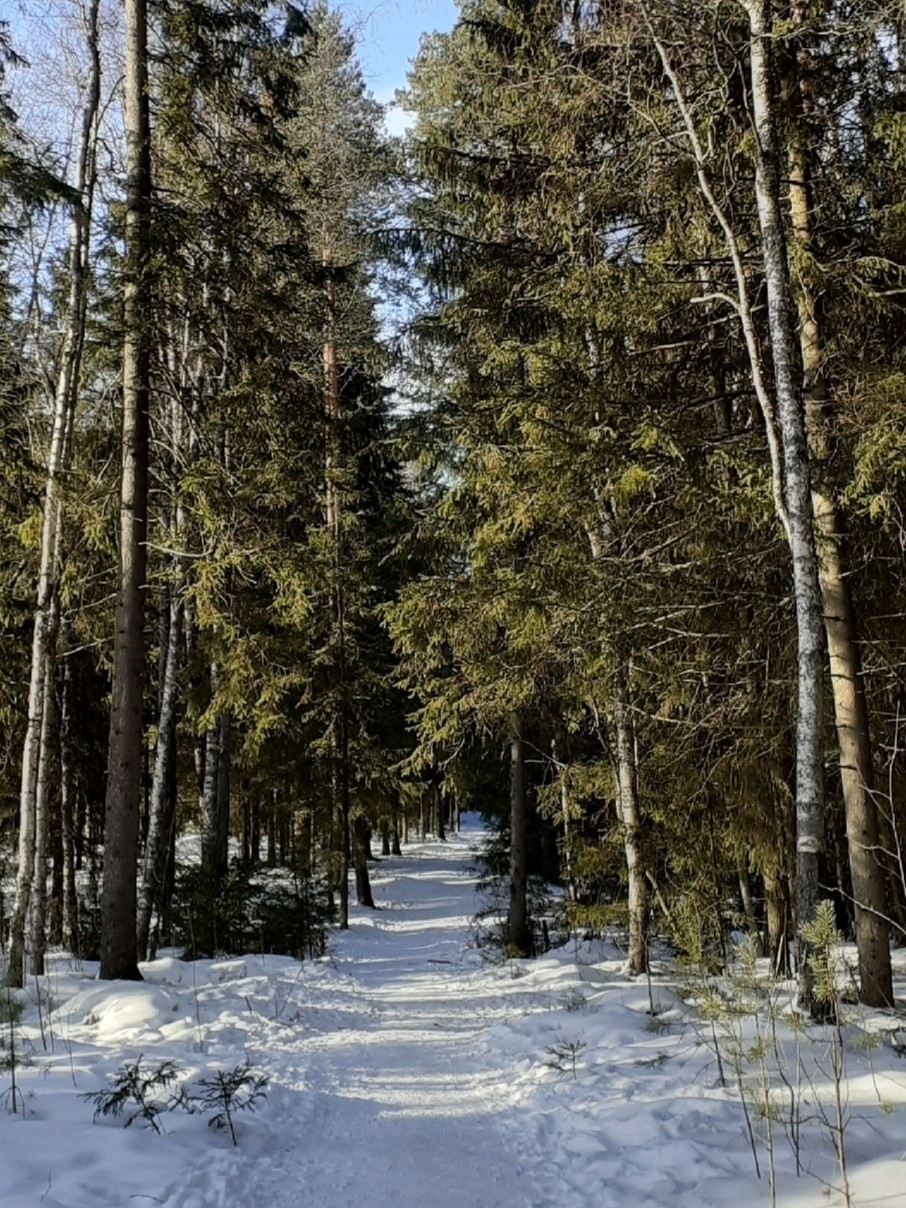 Виктор в LOOKY — фото 4