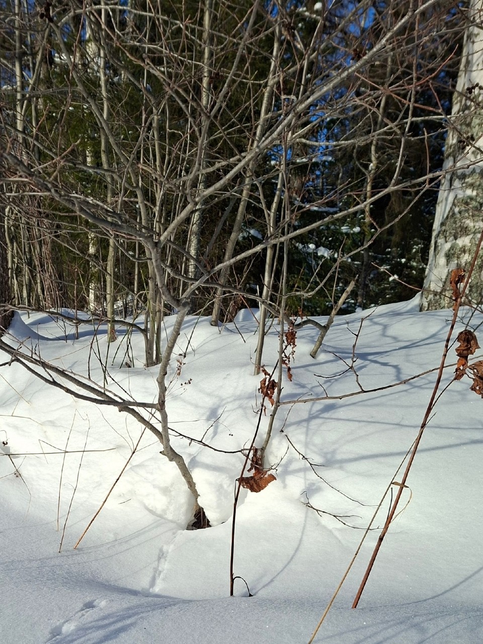Виктор в LOOKY — фото 6