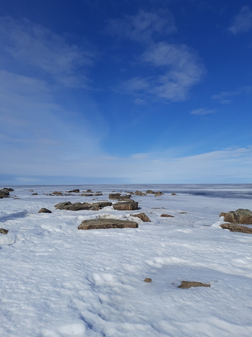 Виктор в LOOKY — фото 2