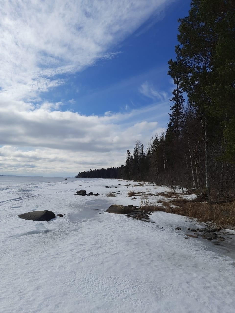 Виктор в LOOKY — фото 3