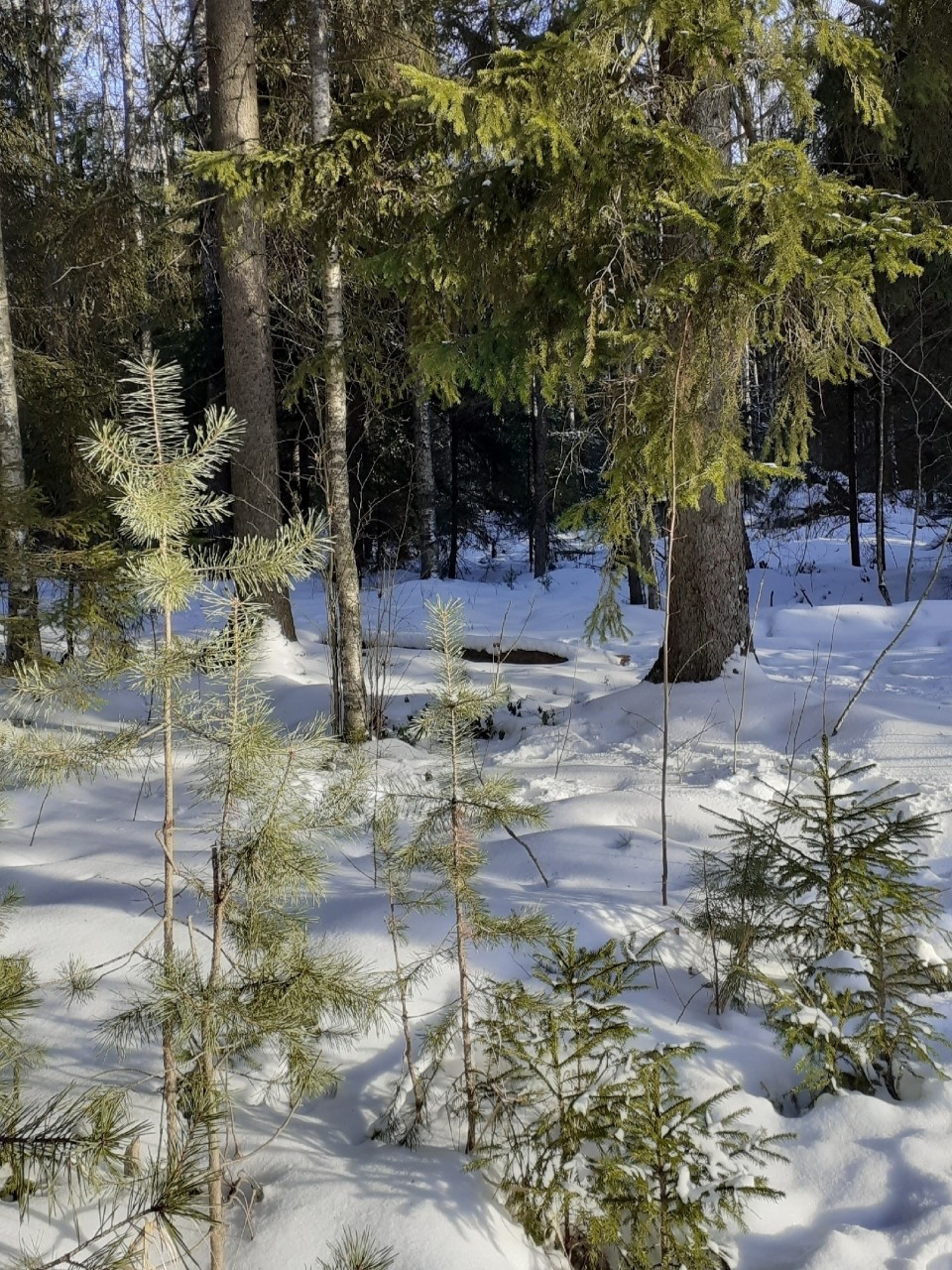 Виктор в LOOKY — фото 5