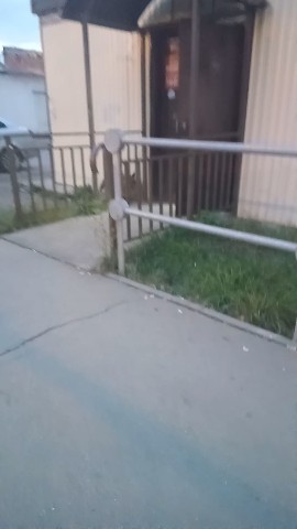 Наталья in LOOKY