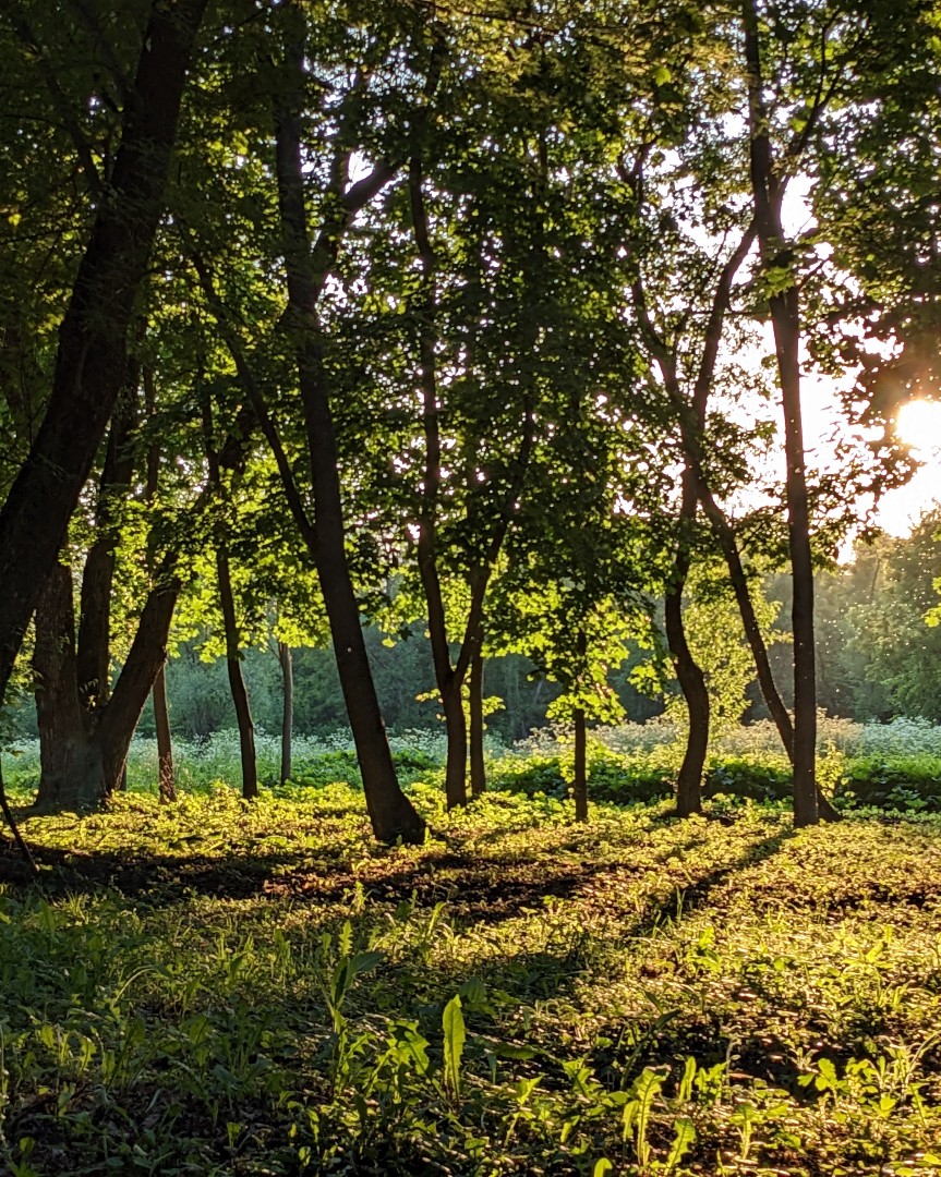 1stMOD в LOOKY — фото 2