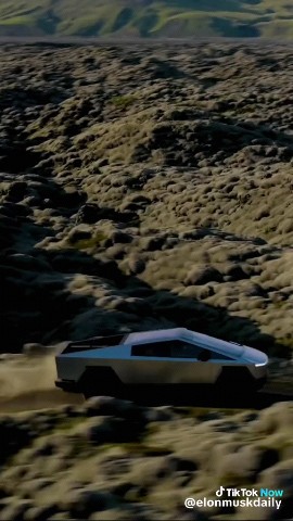 Elon musk в LOOKY. . 