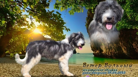 iz_v_s в LOOKY. . 