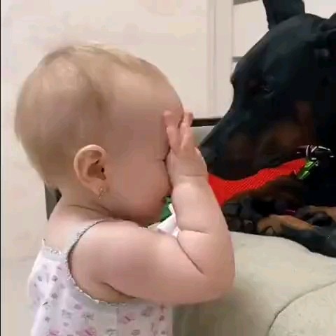Looky_1706006912107 в LOOKY. . Не надо так делать😂...