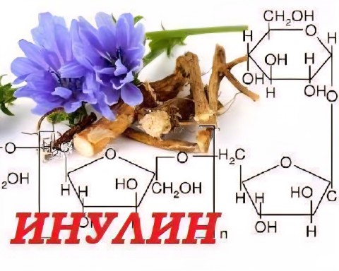 sevtata в LOOKY. #инулин,#косметика,#красота. ИНУЛИН В КОСМЕТИКЕ И...