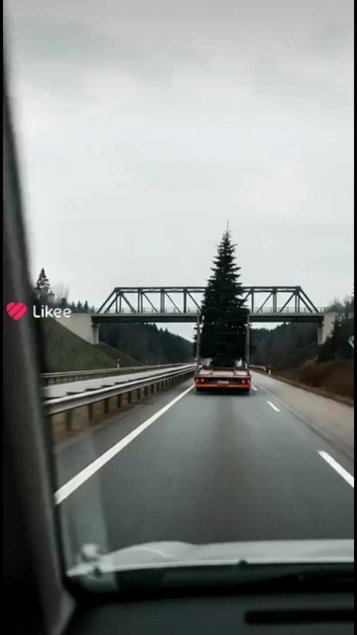 MaxSTG in LOOKY. . Осторожно на дороге