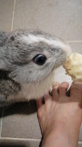 Beneyumikao в LOOKY. . Sept.24.2023
My baby...