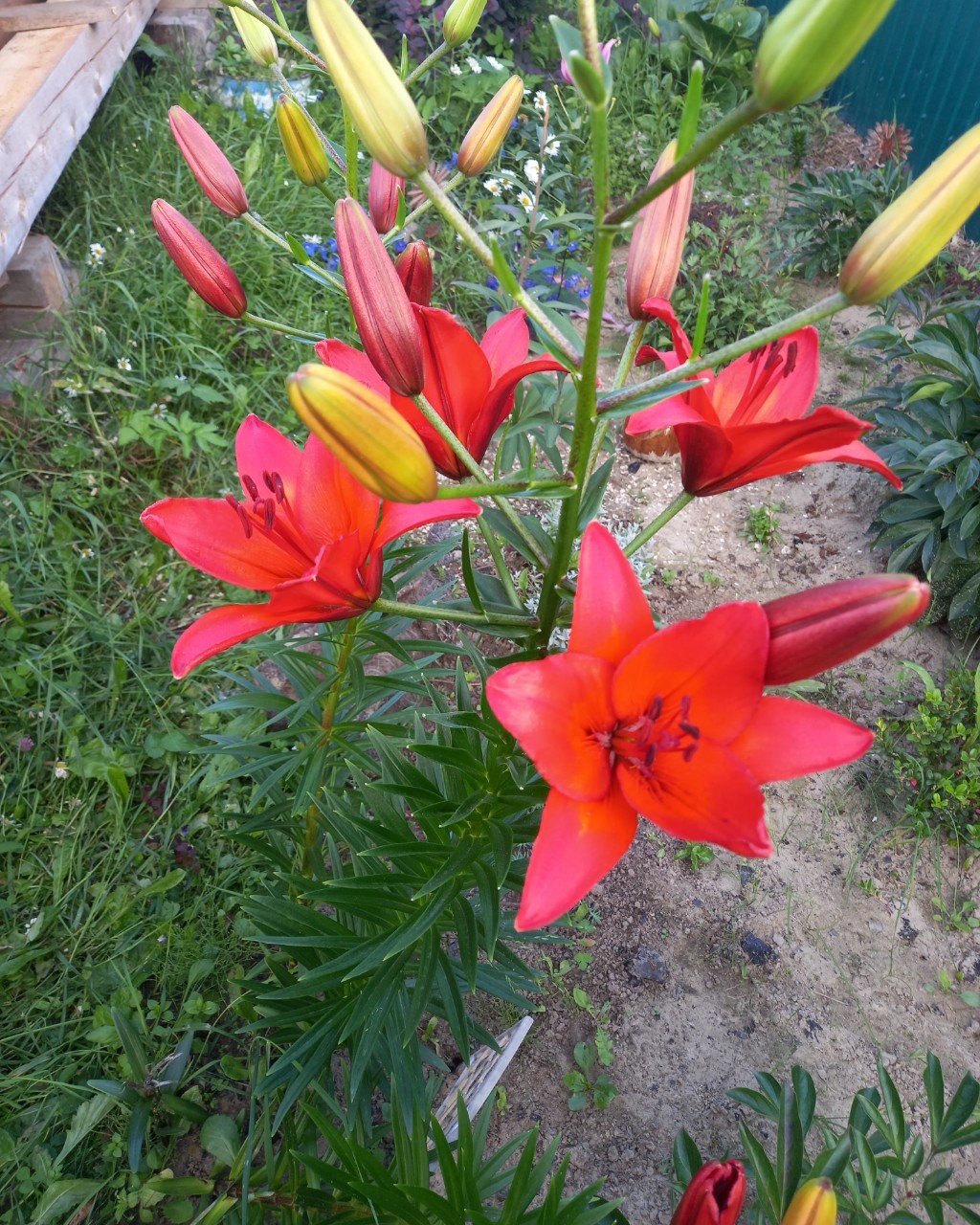 Наталья в LOOKY — фото 1